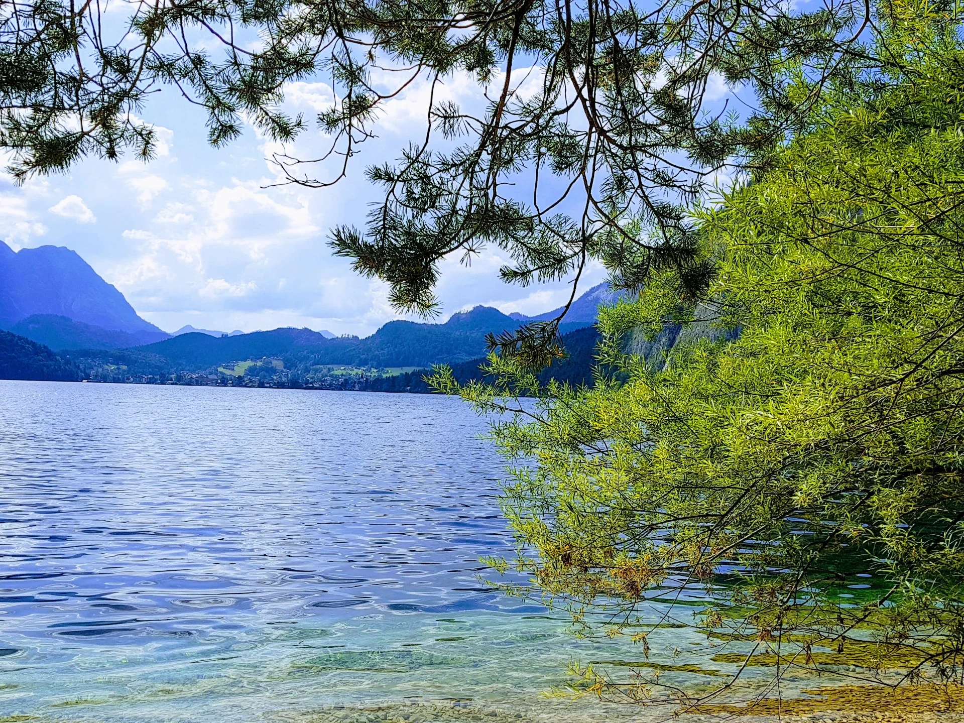 Blick auf den Lunzer See vom Waldrand