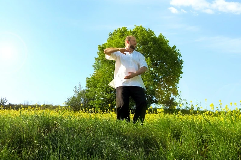 Qigong & Taiji bei Gesund Gelöst
