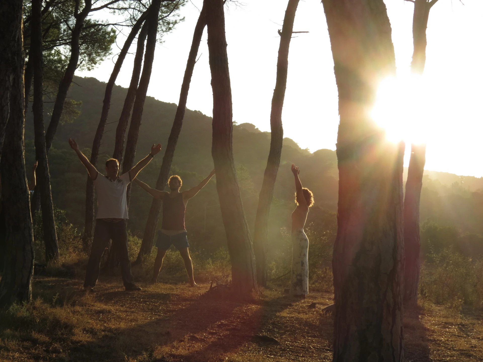 Qigong-Übung im Pinienwald bei Sonnenuntergang, Elba